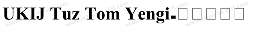 UKIJ Tuz Tom Yengi字体转换